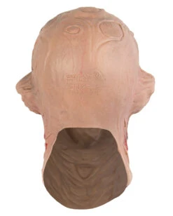 Freddy Maske Blutrausch -Halloween Masken Geschäft freddy krueger maske blutrausch nightmare on elm street merchandise horrorfilm freddy schaumlatexmaske 14272 3