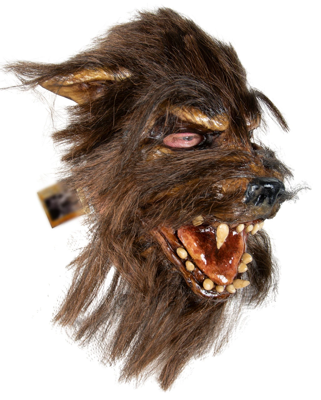 Wolf Man Halloween Maske 4 Wolf Man Halloween Maske – Bild 2
